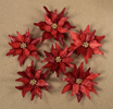 6 Red Poinsettias