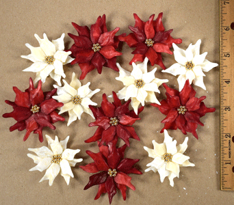 12 Poinsettia Flowers