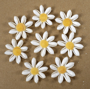 8 White Daisies