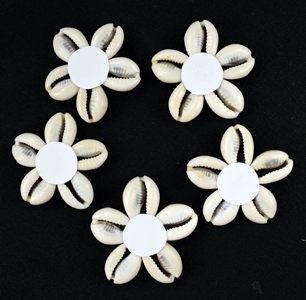 Set of 5 Cowrie Flowers