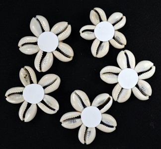 Set of 5 Shell Flowers