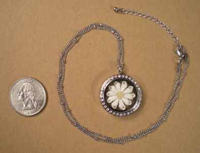 Locket with Crystals